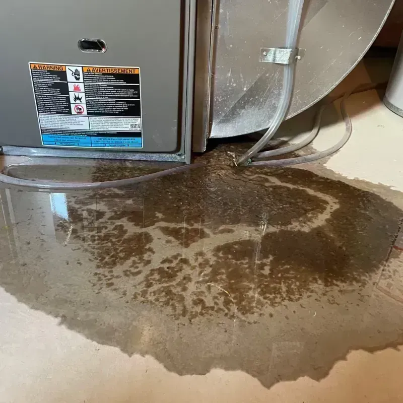 Appliance Leak Cleanup in Minidoka County, ID